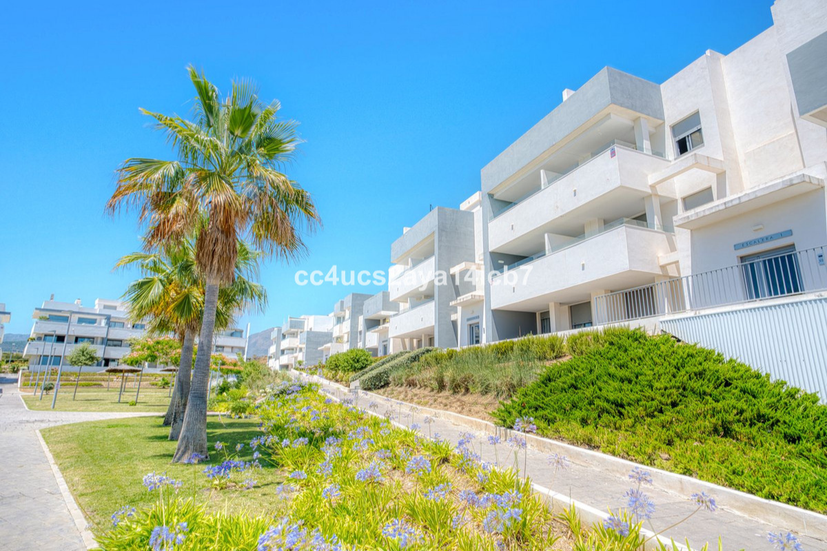 Untitled design (30)